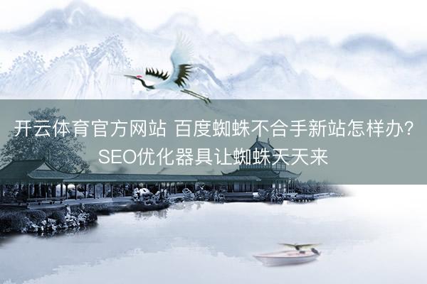 开云体育官方网站 百度蜘蛛不合手新站怎样办？SEO优化器具让蜘蛛天天来