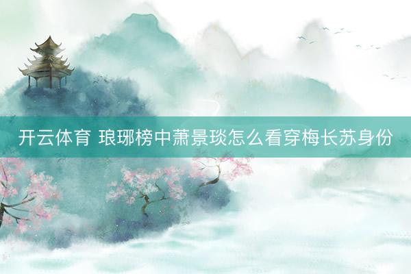 开云体育 琅琊榜中萧景琰怎么看穿梅长苏身份