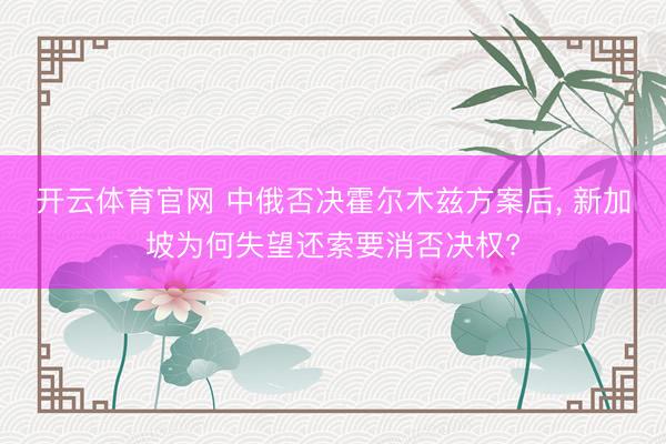 开云体育官网 中俄否决霍尔木兹方案后, 新加坡为何失望还索要消否决权?